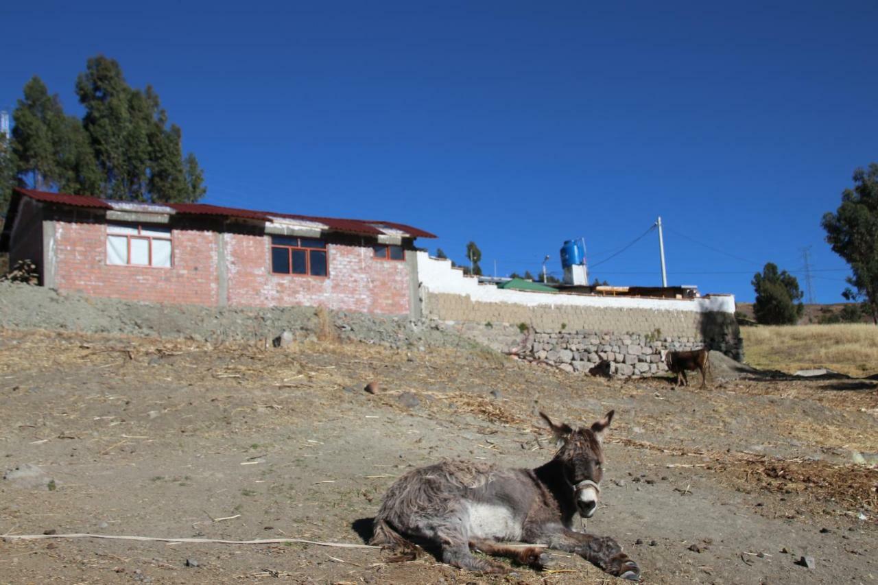 Canshan Lodge Huaraz  Exteriör bild